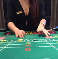 Responsible cricket session browsing habits with app 333 on mobile devices